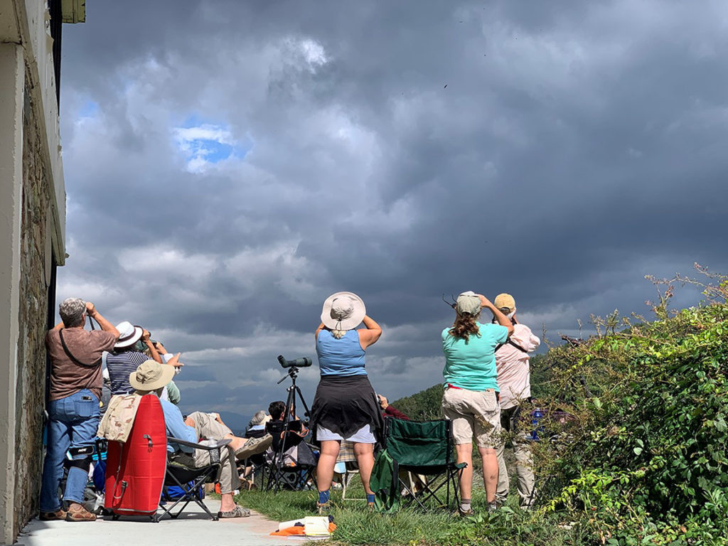 Rockfish Gap Hawk Watchers HMANA